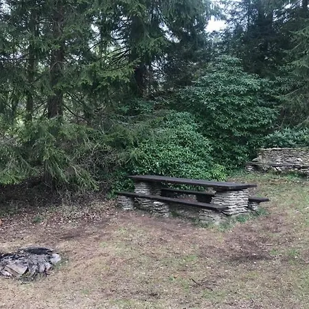 Horska Na Brcalniku V Srdci Sumavy Chalet Železná Ruda