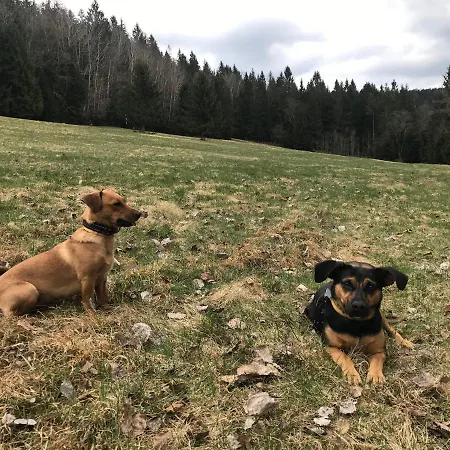 Horska Na Brcalniku V Srdci Sumavy Chalet *